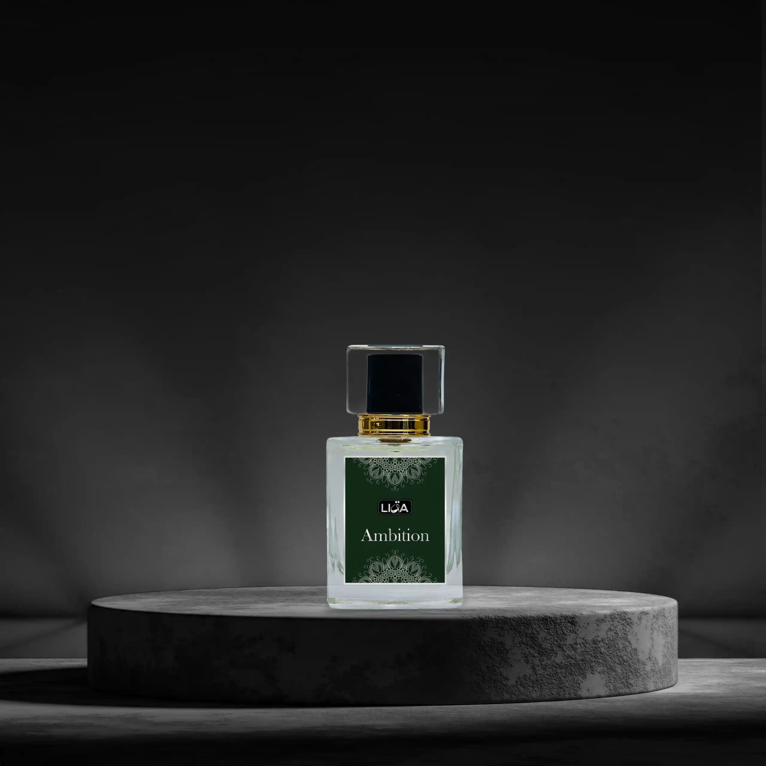 Ambition - Image 5